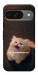 Чохол Все пропало для Google Pixel 10 Pro