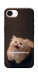 Чохол Все пропало для iPhone 17e