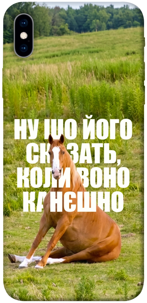 Чехол Horse sitting для iPhone XS Max