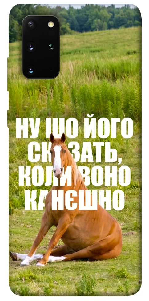 Чехол Horse sitting для Galaxy S20 Plus (2020)