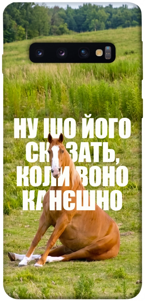 Чохол Horse sitting для Galaxy S10 (2019)