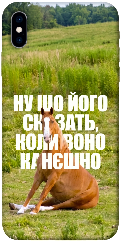 Чохол Horse sitting для iPhone XS