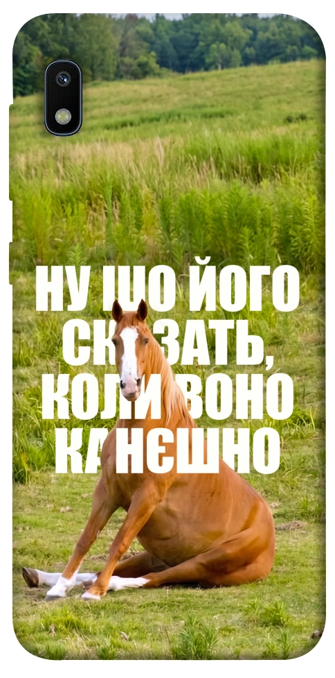 Чехол Horse sitting для Galaxy A10 (A105F)