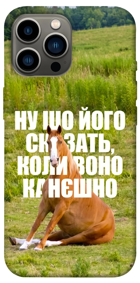 Чохол Horse sitting для iPhone 12 Pro Max