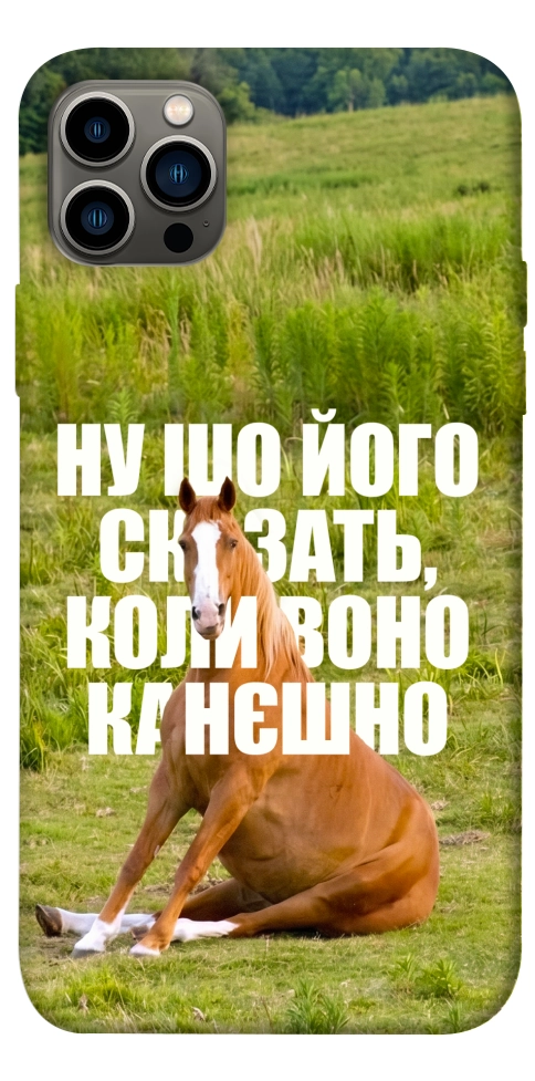 Чехол Horse sitting для iPhone 12 Pro