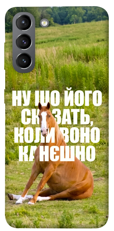 Чехол Horse sitting для Galaxy S21