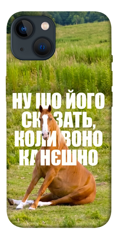 Чехол Horse sitting для iPhone 13