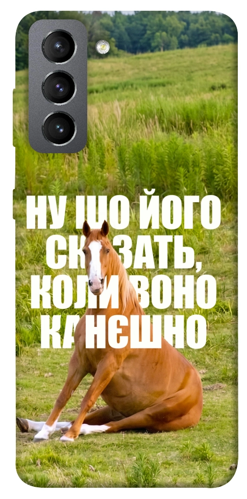 Чехол Horse sitting для Galaxy S21 FE
