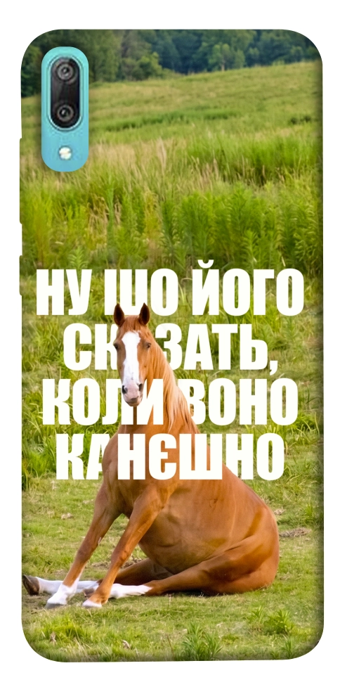 Чехол Horse sitting для Huawei Y6 Pro (2019)