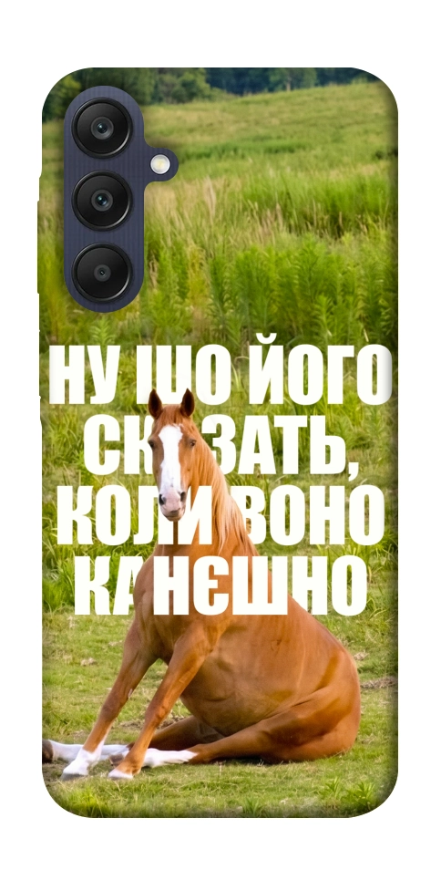 Чехол Horse sitting для Galaxy A25 5G