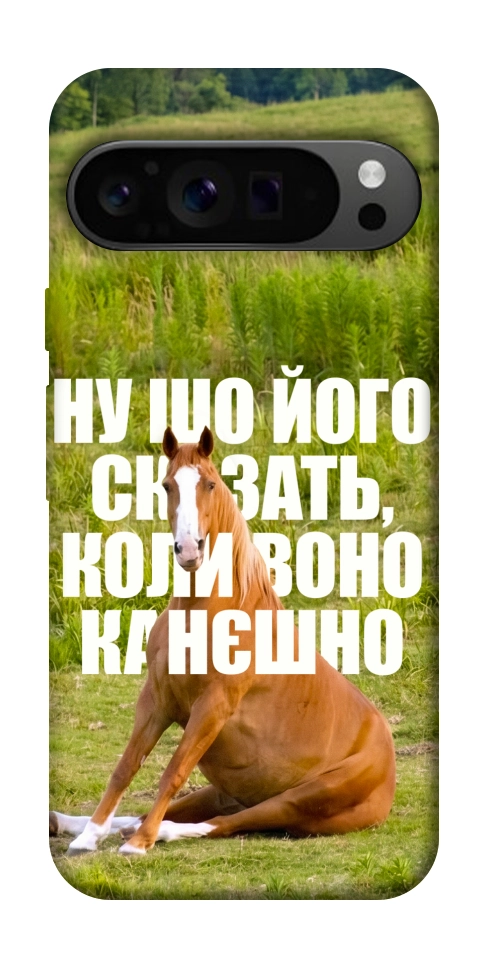 Чохол Horse sitting для Google Pixel 9 Pro