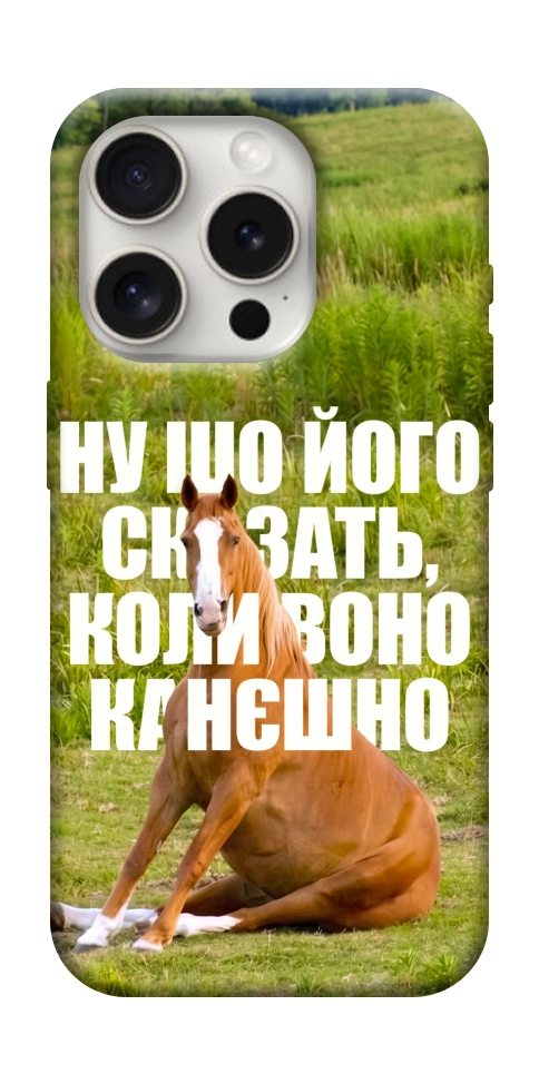 Чехол Horse sitting для iPhone 16 Pro