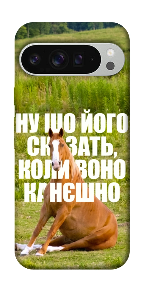 Чохол Horse sitting для Google Pixel 9 Pro XL