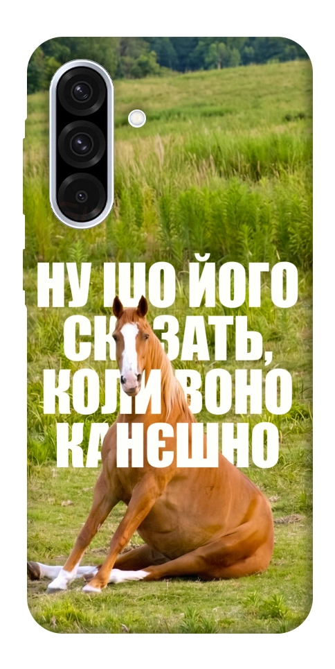 Чохол Horse sitting для Galaxy A56 5G