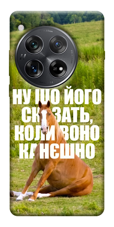 Чохол Horse sitting для OnePlus 12