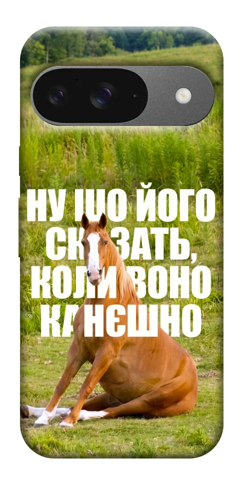 Чохол Horse sitting для Google Pixel 10 Pro