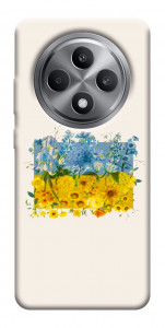 Чехол Flower flag для Oppo Reno 12 F 4G