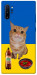 Чохол Kitty dinner для Galaxy Note 10+ (2019)