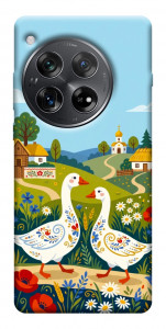 Чехол Ukr gooses для OnePlus 12