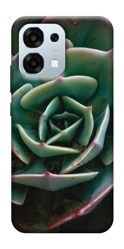 Чехол Эхеверия для Oppo A6 Pro