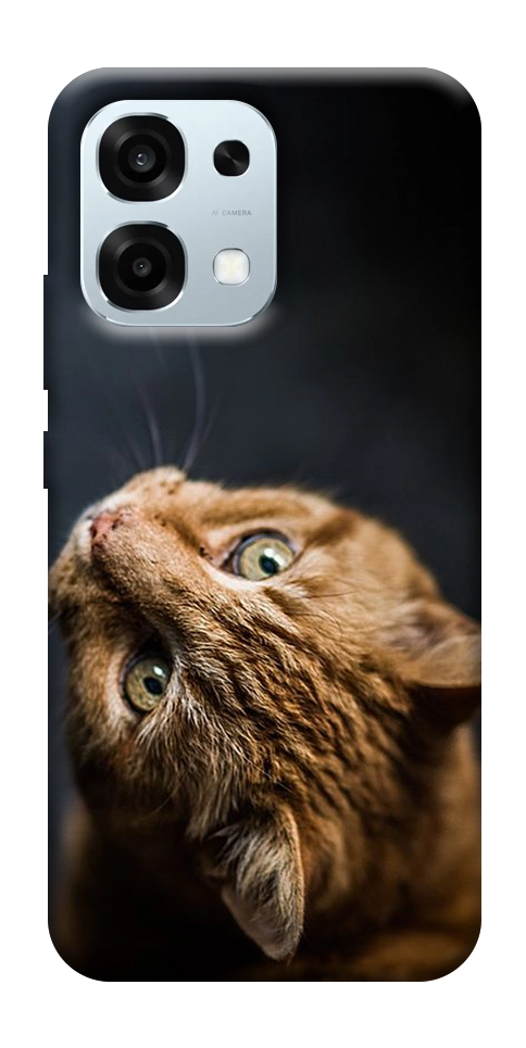 Чехол Рыжий кот для Oppo A6 Pro