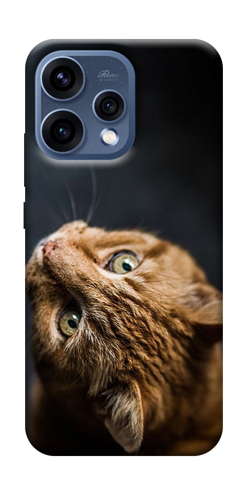 Чехол Рыжий кот для Oppo Reno 15
