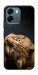 Чохол Рудий кіт для Oppo A6