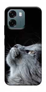 Чохол Cute cat для Oppo A6