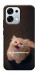 Чехол Все пропало для Oppo A6 Pro