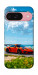 Чехол Car in nature для Google Pixel 9