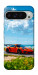 Чехол Car in nature для Google Pixel 9 Pro XL