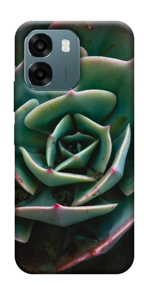 Чехол Эхеверия для Oppo A6s