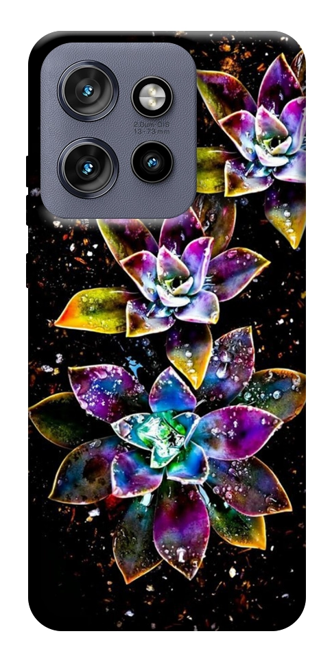 Чехол Flowers on black для Motorola Edge 60 Neo