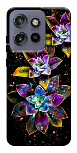 Чехол Flowers on black для Motorola Edge 60 Neo