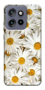 Чехол Chamomile для Motorola Edge 60 Neo