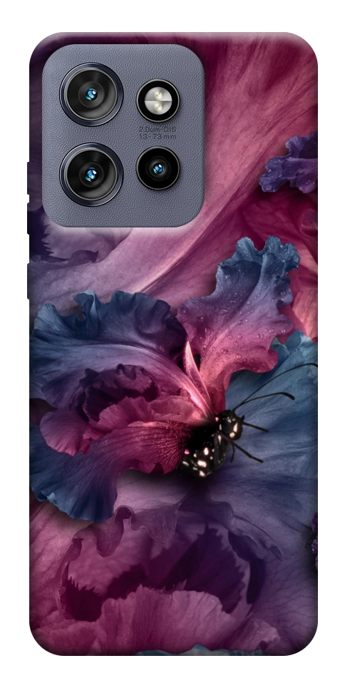 Чехол Насекомое для Motorola Edge 60 Neo