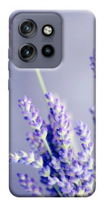 Чехол Лаванда для Motorola Edge 60 Neo