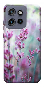 Чехол Лаванда 2 для Motorola Edge 60 Neo