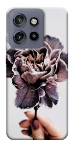 Чехол Гвоздика для Motorola Edge 60 Neo
