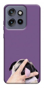 Чехол Мопс для Motorola Edge 60 Neo