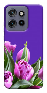 Чехол Тюльпаны для Motorola Edge 60 Neo