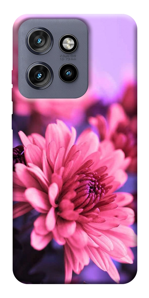 Чохол Ніжна хризантема для Motorola Edge 60 Neo