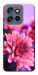 Чохол Ніжна хризантема для Motorola Edge 60 Neo
