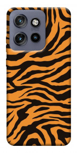 Чехол Tiger print для Motorola Edge 60 Neo