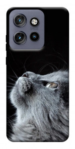 Чехол Cute cat для Motorola Edge 60 Neo