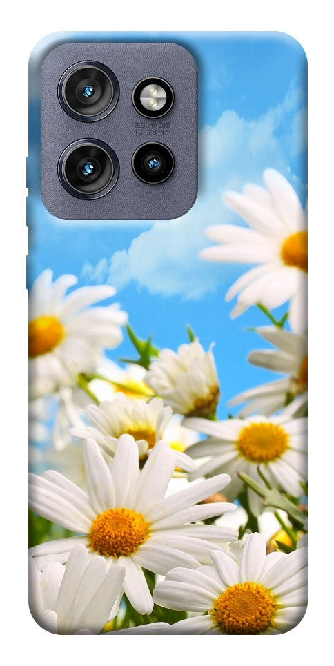 Чохол Ромашкове поле для Motorola Edge 60 Neo