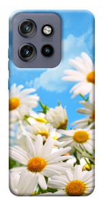 Чехол Ромашковое поле для Motorola Edge 60 Neo