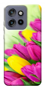 Чехол Красочные тюльпаны для Motorola Edge 60 Neo