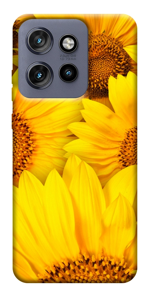 Чохол Букет соняшників для Motorola Edge 60 Neo