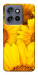 Чохол Букет соняшників для Motorola Edge 60 Neo